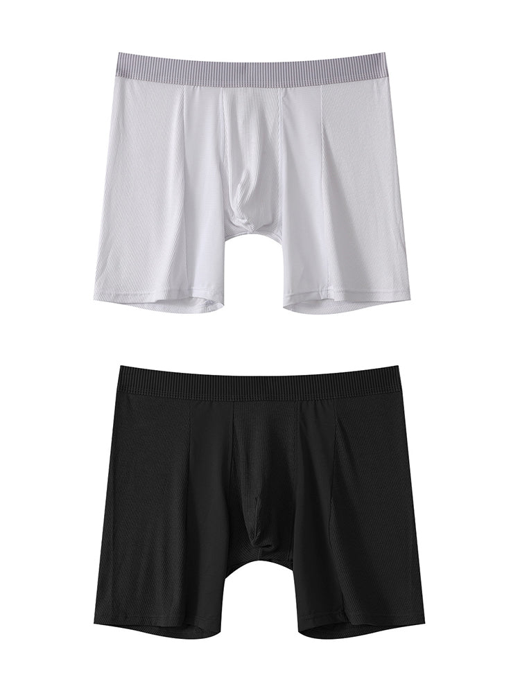 2 Pack Men's Anti-friction Sports Long Nylon Mesh Briefs | dmunderwear variant image