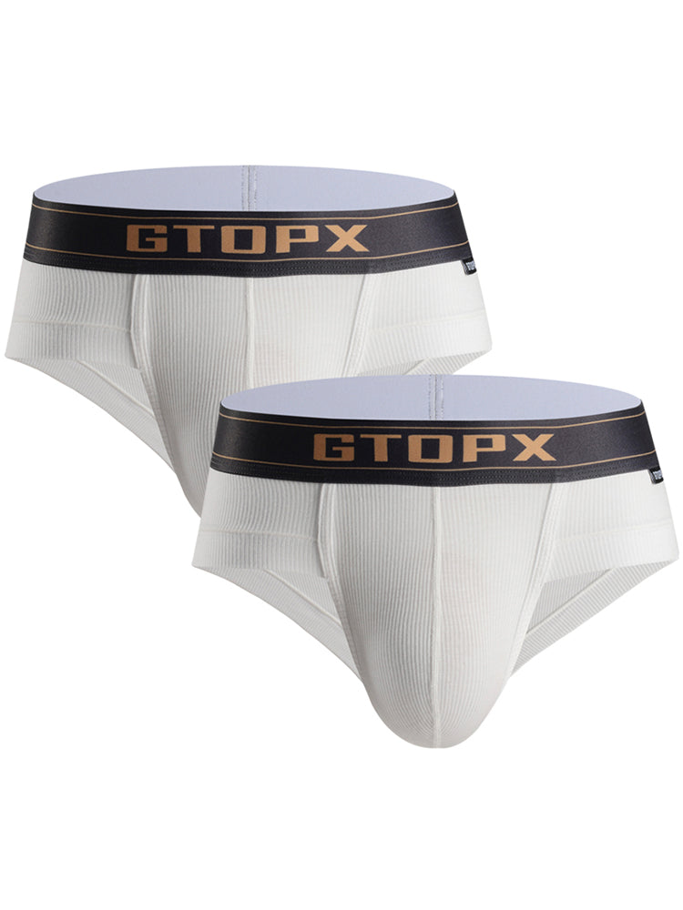 2 Pack Men's Big Support Pouch Modal Briefs | dmunderwear variant image