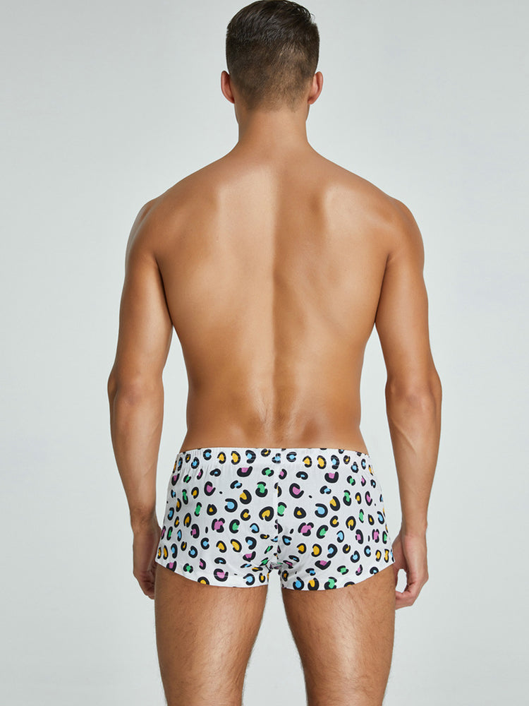 2 Pack Men's Breathable Cotton Printed Low-Rise Seamless Comfort Trunks | dmunderwear detail image 13