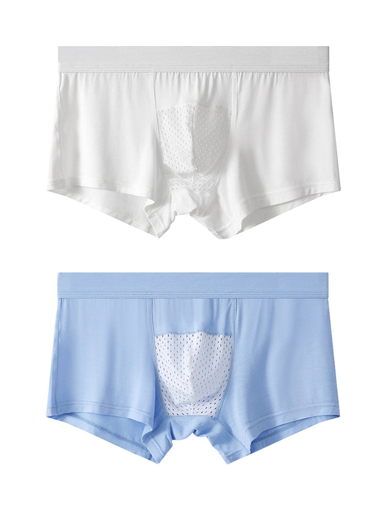 2 Pack Men's Ice Silk Antibacterial Mid-Rise Day-Long Comfort Soft Trunks | dmunderwear variant image