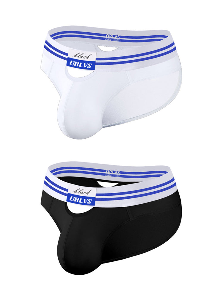 2 Pack Men's Low-Rise Breathable Modal briefs | dmunderwear variant image