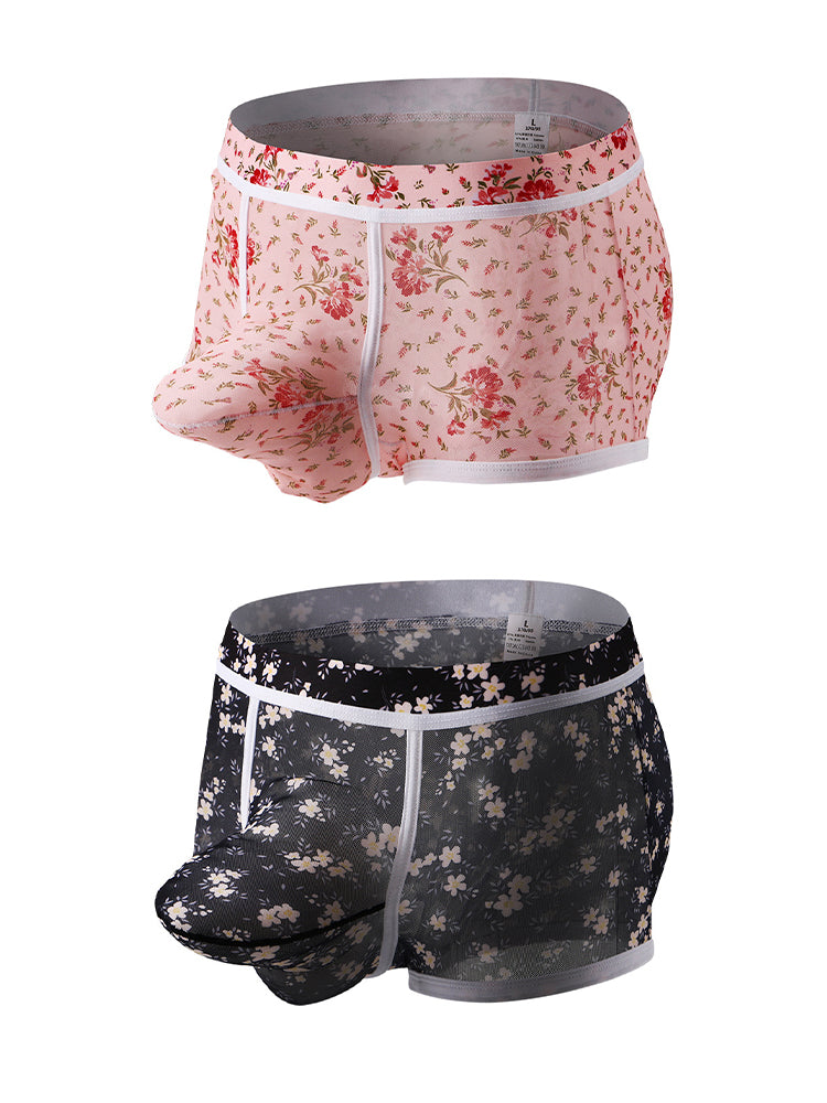 2-pack Men's Mesh Elephant Nose Transparent Boxer Briefs | dmunderwear variant image