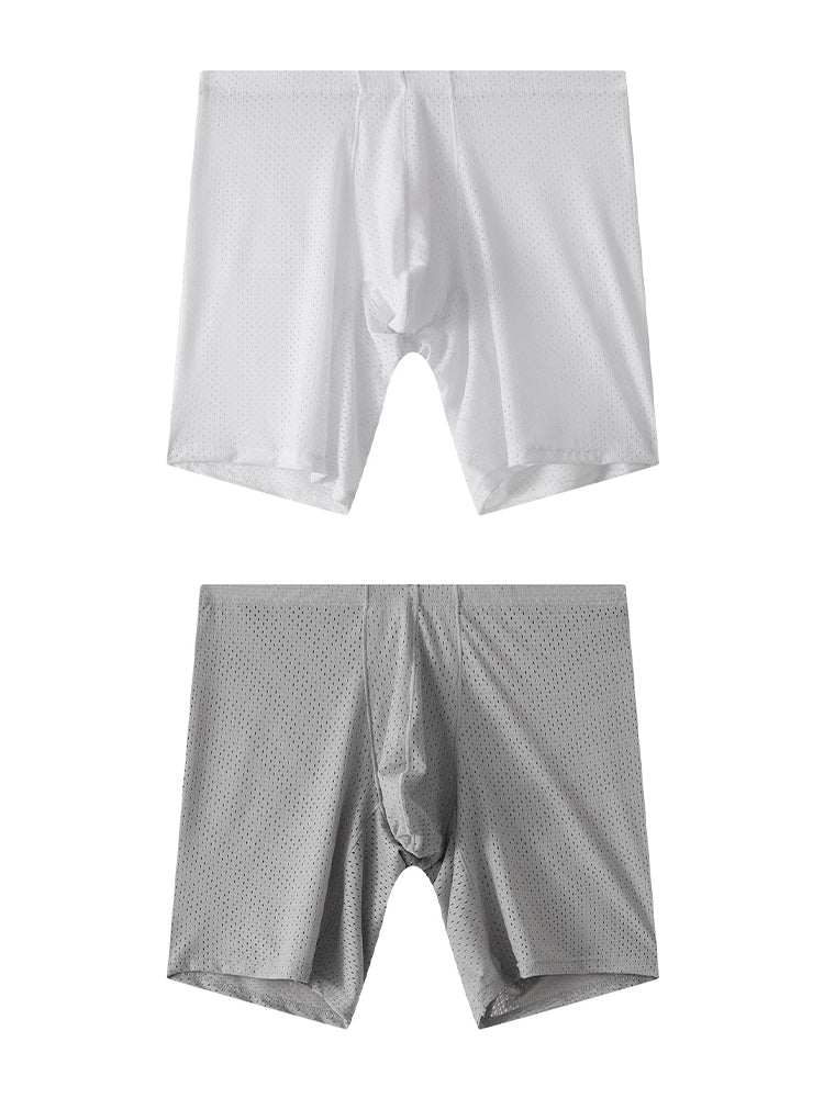 2 Pack Men's Mesh Transparent Sports Fitness Loose Boxer Briefs | dmunderwear variant image