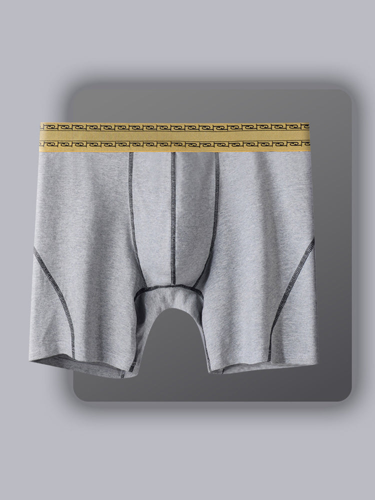 2 Pack Men's Pure Cotton Anti-Chafing Breathable Sports Boxer Briefs | dmunderwear detail image 15