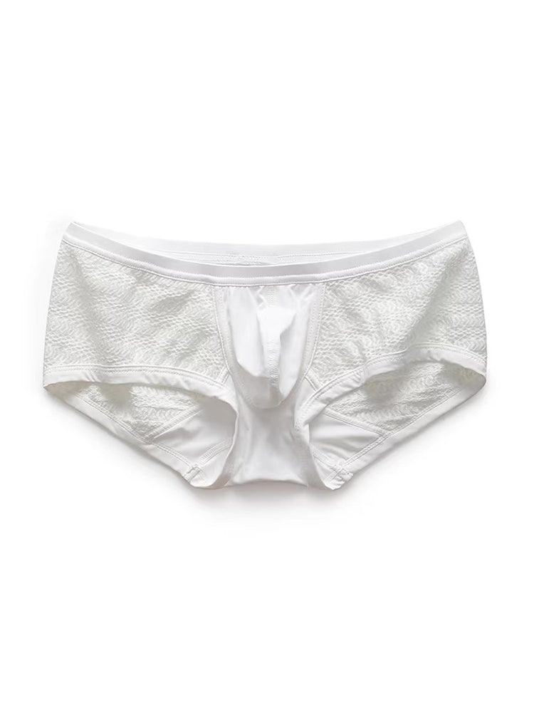 2 Pack Men's Sexy Semi-Sheer Lace Mesh Trunks with Contoured U-Pouch | dmunderwear detail image 1