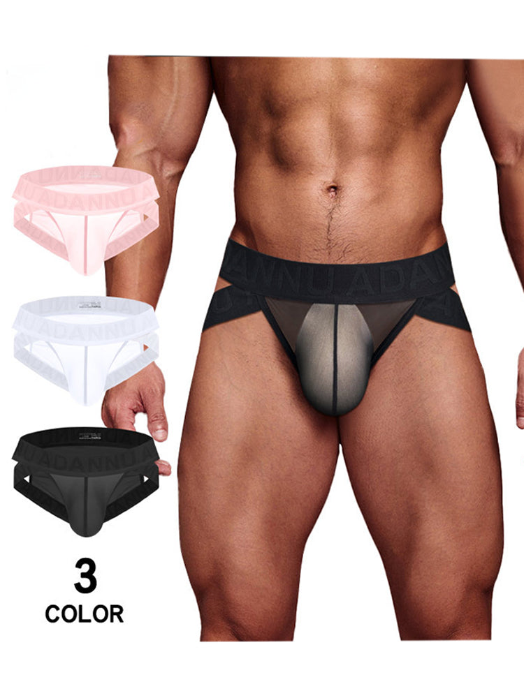 2 Pack Men's Sexy Odor-Control Stretch Fit Semi-Transparent Sporty Cut Bikini | dmunderwear detail image 3