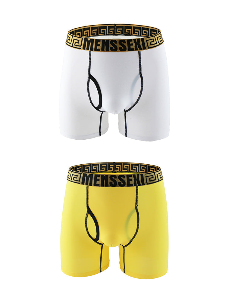 2 Pack Men's Sexy Sports Ice Silk Boxer Briefs | dmunderwear variant image