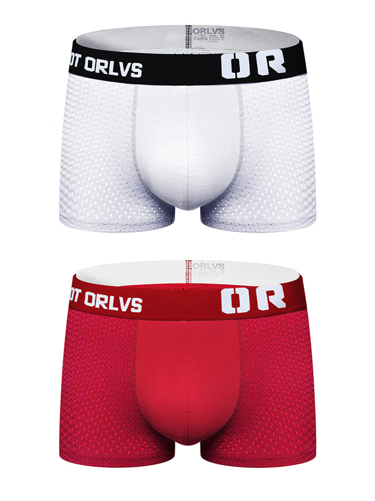 2 Pack Men's Sexy Transparent Seamless Mesh Solid Color Breathable Trunks & Bikini | dmunderwear variant image