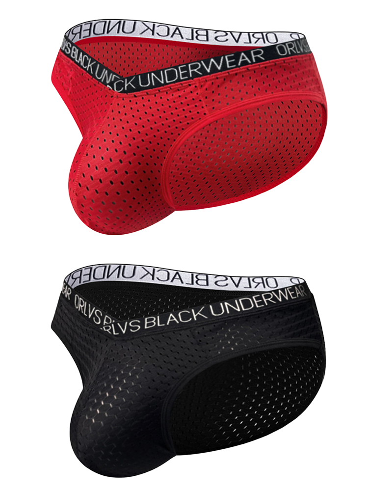 2 Pack Men's Sexy V-shape Waistband Mesh Bikinis | dmunderwear variant image