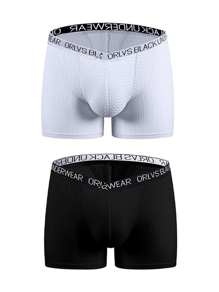 2 Pack Men's Sexy V-shape Waistband Mesh Trunks | dmunderwear variant image