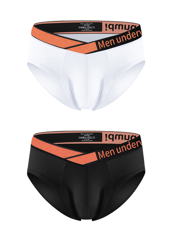 2 Pack Men's Stylish V-Shaped Waistband Briefs | dmunderwear variant image