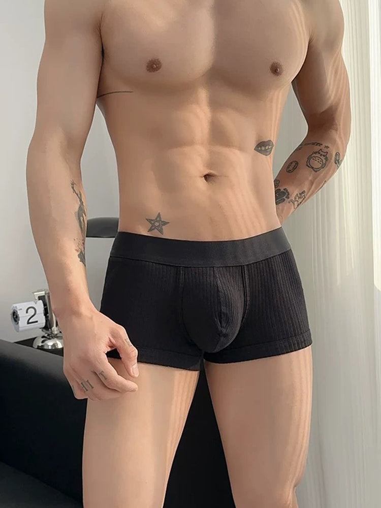 2 Pack Men's Ultra-Soft Premium Pure Cotton Comfy Waistband Seamless Trunks | dmunderwear detail image 9