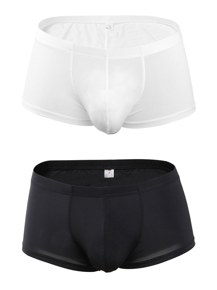2 Pack Mesh Enlarged Pouch Snug Fit Underwear | dmunderwear variant image