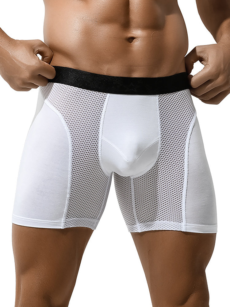 3 Pack Breathable Antibacterial Mesh Boxers Briefs | dmunderwear variant image