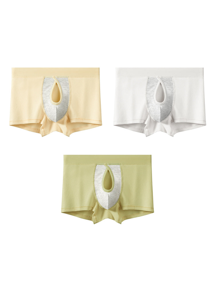 3 Pack Men's Breathable Comfort Double-Sided Access Soft Cotton Trunks | dmunderwear variant image