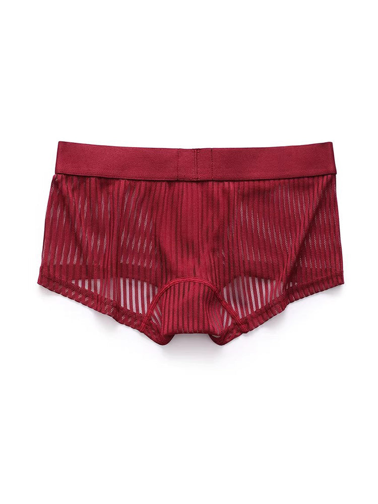 3 Pack Men's Striped Mesh Trunks with Comfort Pouch | dmunderwear detail image 11