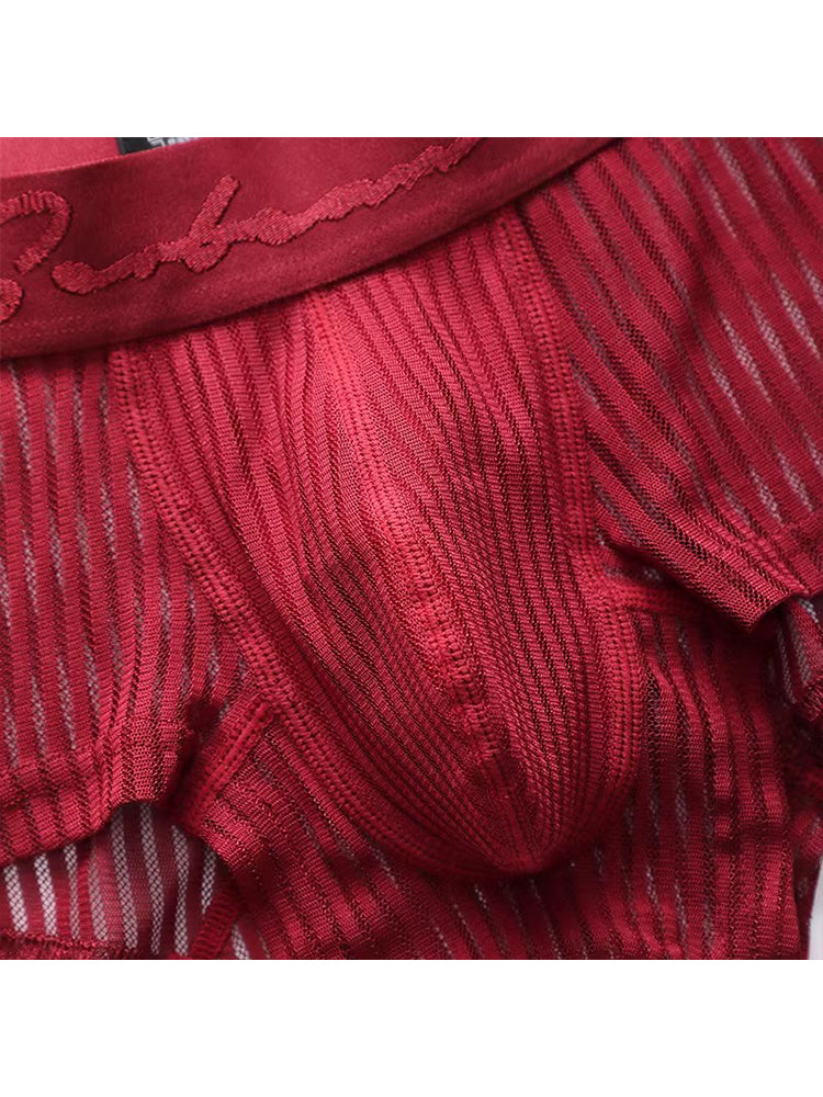3 Pack Men's Striped Mesh Trunks with Comfort Pouch | dmunderwear detail image 13