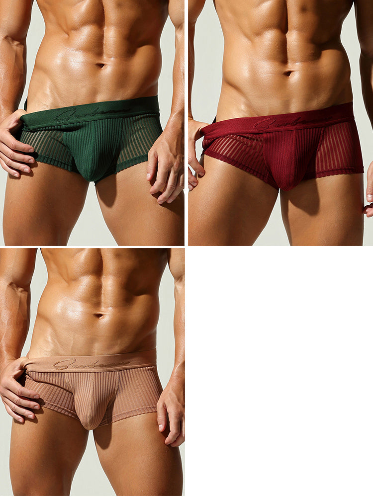 3 Pack Men's Striped Mesh Trunks with Comfort Pouch | dmunderwear detail image 17