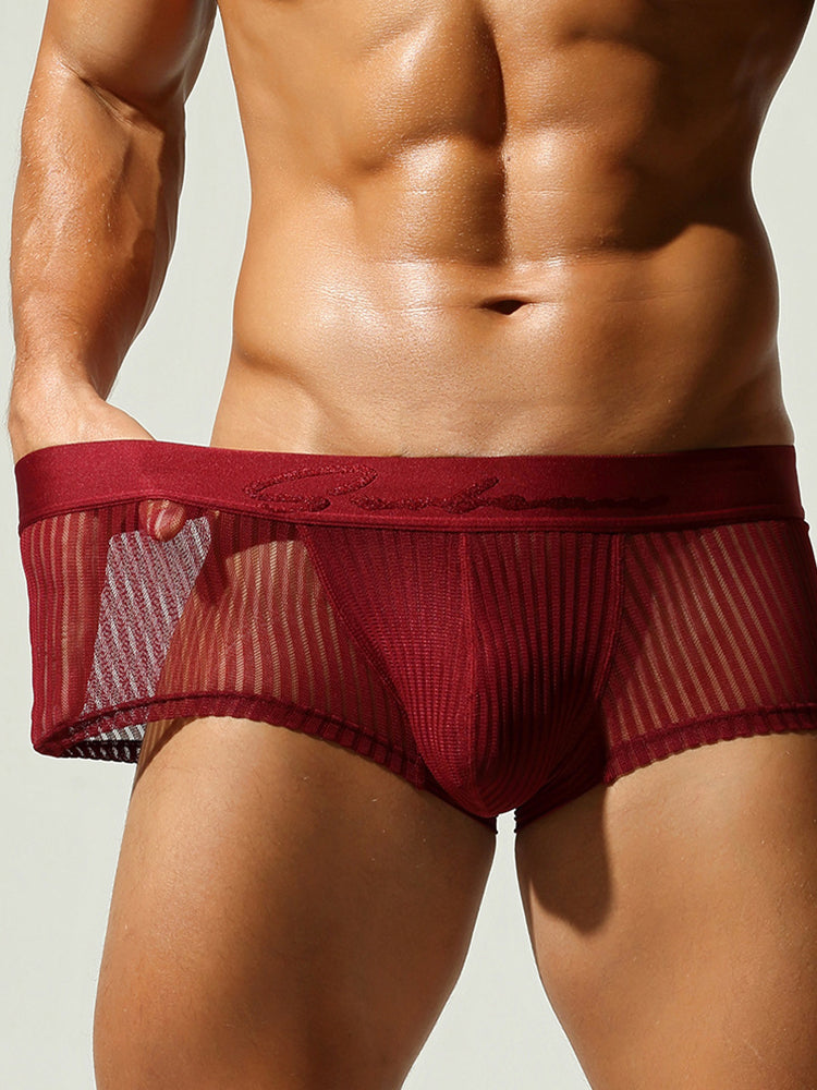 3 Pack Men's Striped Mesh Trunks with Comfort Pouch | dmunderwear detail image 18
