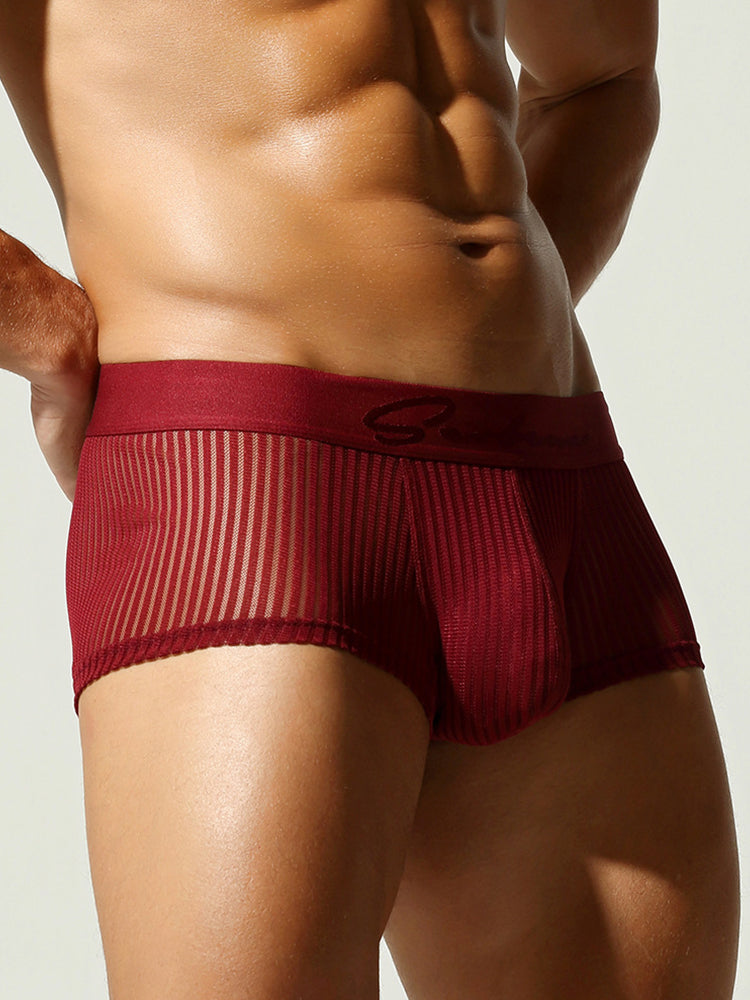 3 Pack Men's Striped Mesh Trunks with Comfort Pouch | dmunderwear detail image 19