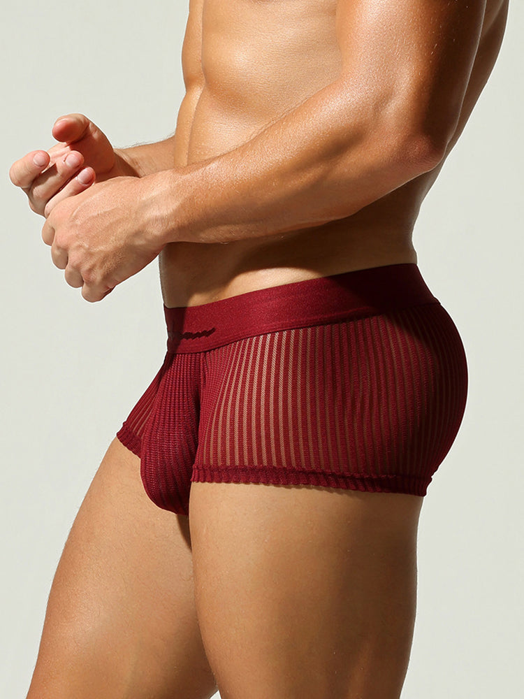 3 Pack Men's Striped Mesh Trunks with Comfort Pouch | dmunderwear detail image 20