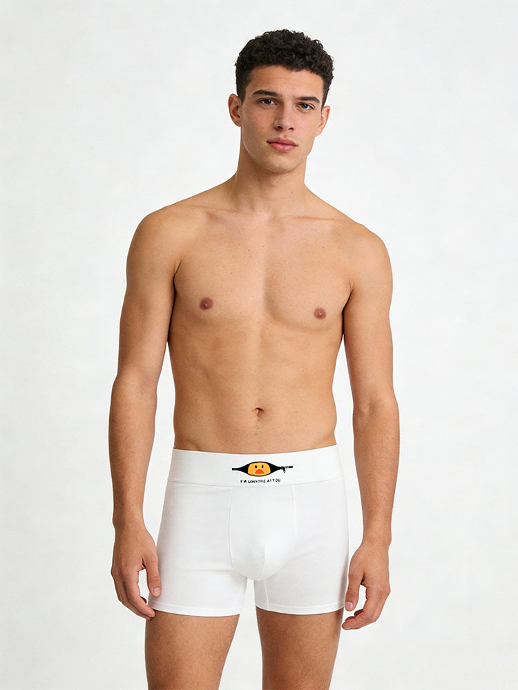 3 Pack Men's Soft Breathable Cotton Broaden Waistband Boxer Briefs | dmunderwear detail image 1