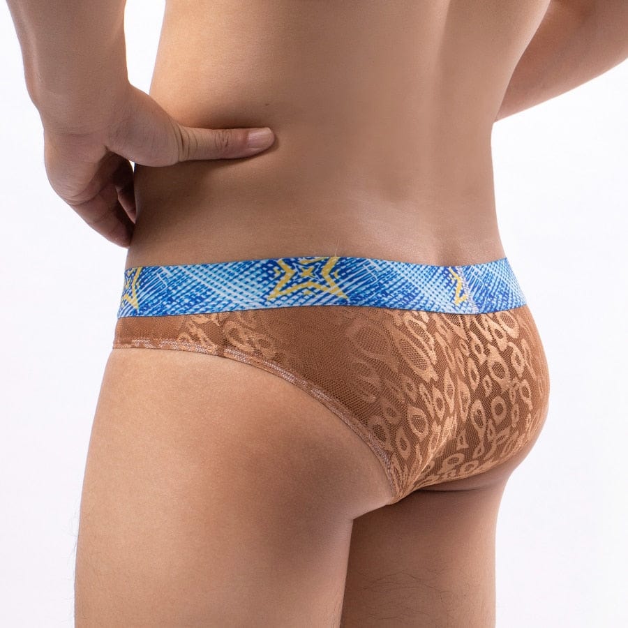 4 Pack Bold Leopard Lace Briefs | dmunderwear detail image 2