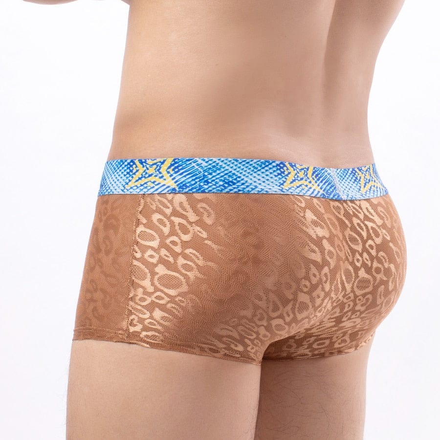 4 Pack Bold Leopard Lace Trunks | dmunderwear variant image