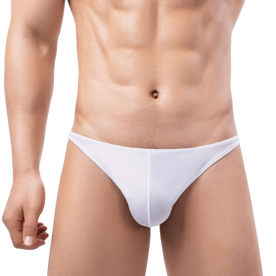 4 Pack Leisure Bikini Briefs | dmunderwear detail image 9