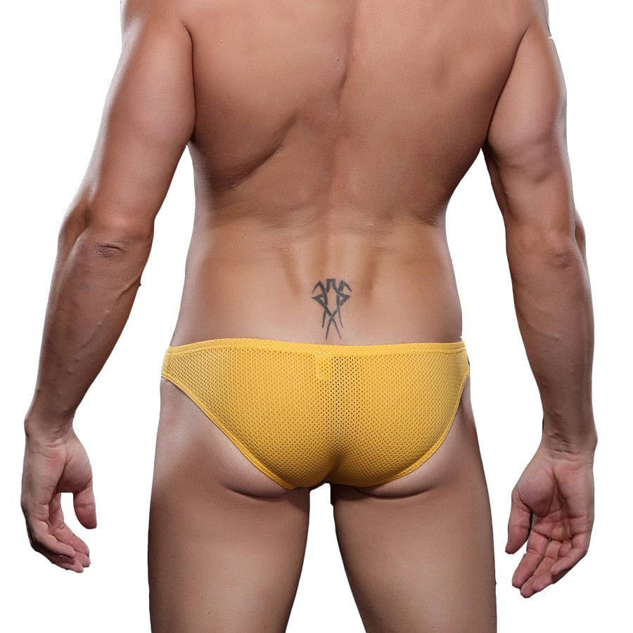 4 Pack Exposed Mesh Briefs | dmunderwear detail image 14