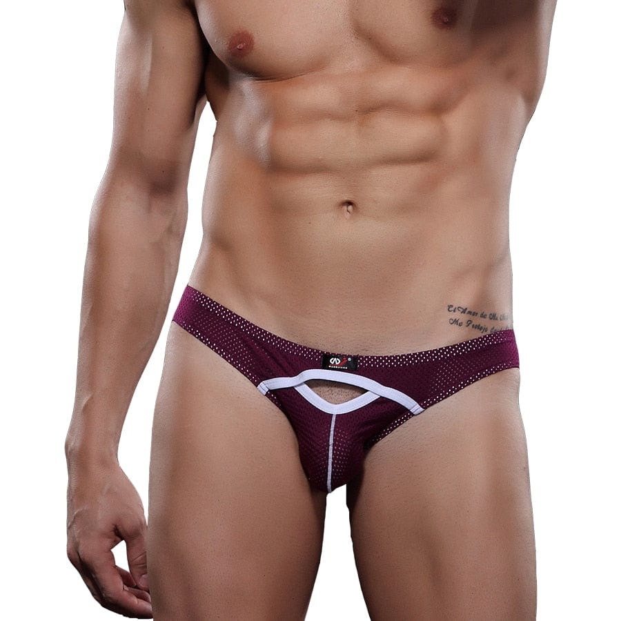 4 Pack Exposed Mesh Briefs | dmunderwear detail image 2
