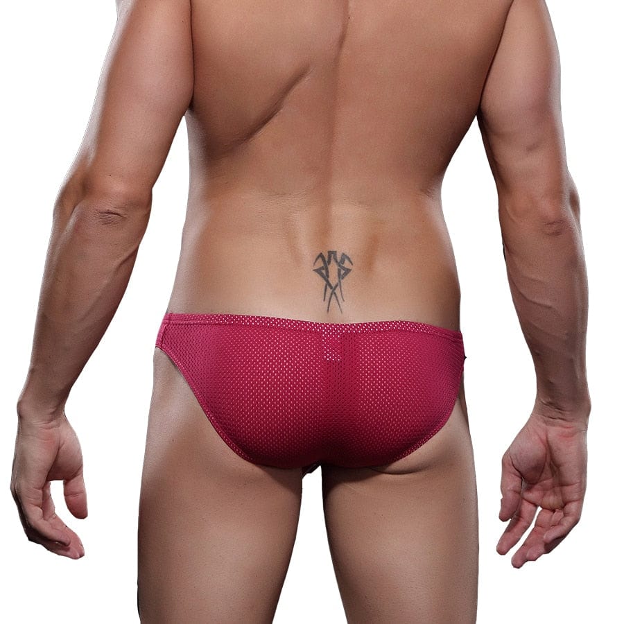 4 Pack Exposed Mesh Briefs | dmunderwear detail image 8