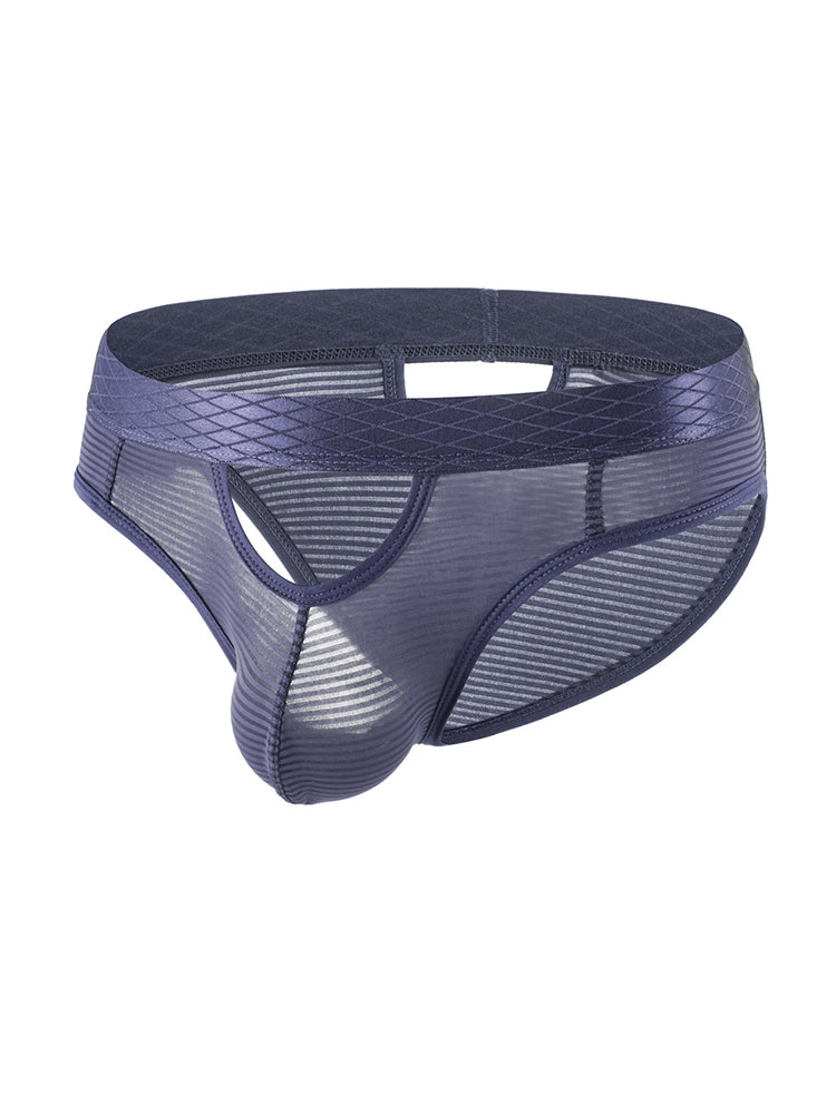 4 Pack Men's Sexy Striped Design Day-Long Comfort Soft-Touch Waistband Bikini | dmunderwear detail image 1