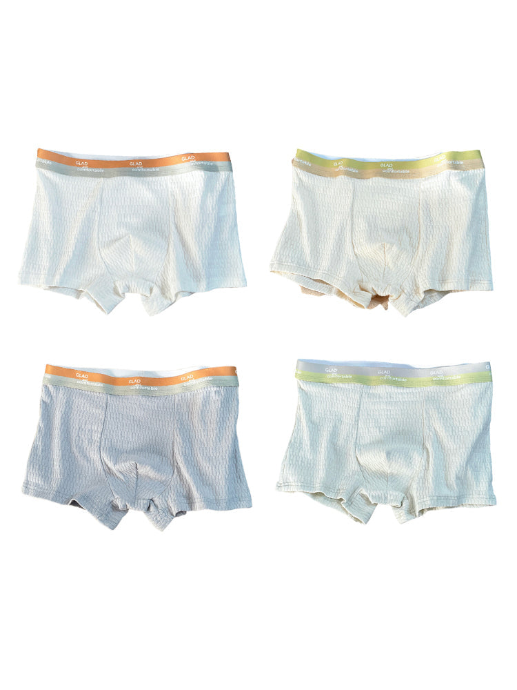 4 Pack Men's Soft-Touch Cotton Antibacterial All-Season Daily Stretch Luxury Trunks | dmunderwear variant image