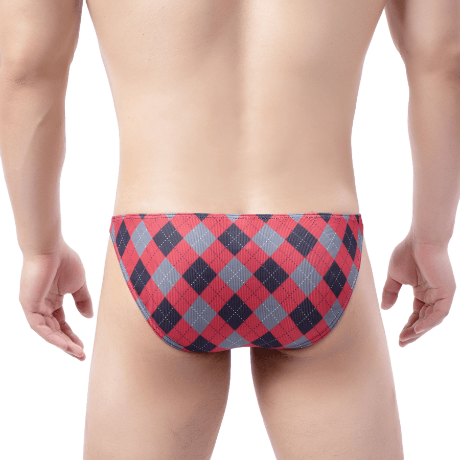 4 Pack Plaid Bikini Briefs | dmunderwear detail image 8