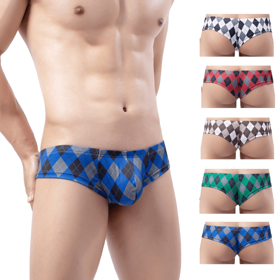 4 Pack Plaid Cheeky Briefs | dmunderwear