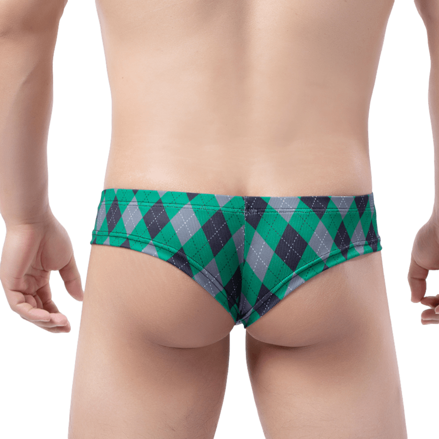 4 Pack Plaid Cheeky Briefs | dmunderwear detail image 4