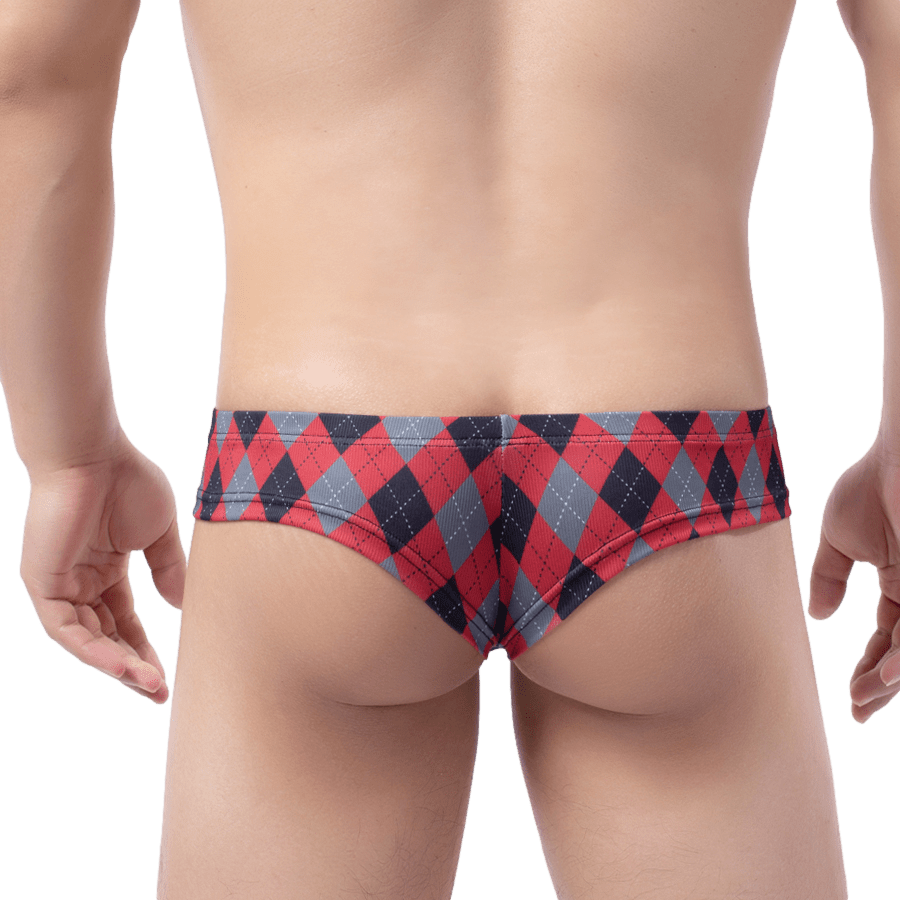 4 Pack Plaid Cheeky Briefs | dmunderwear detail image 9