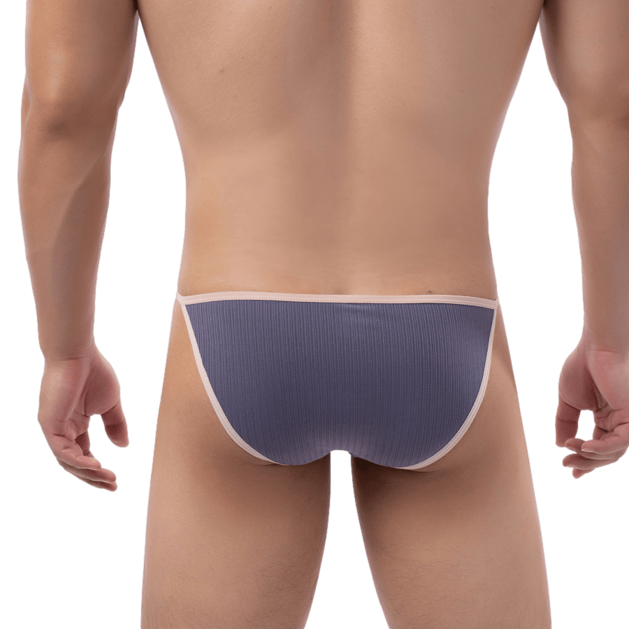 4 Pack Sahara Bikini | dmunderwear detail image 10