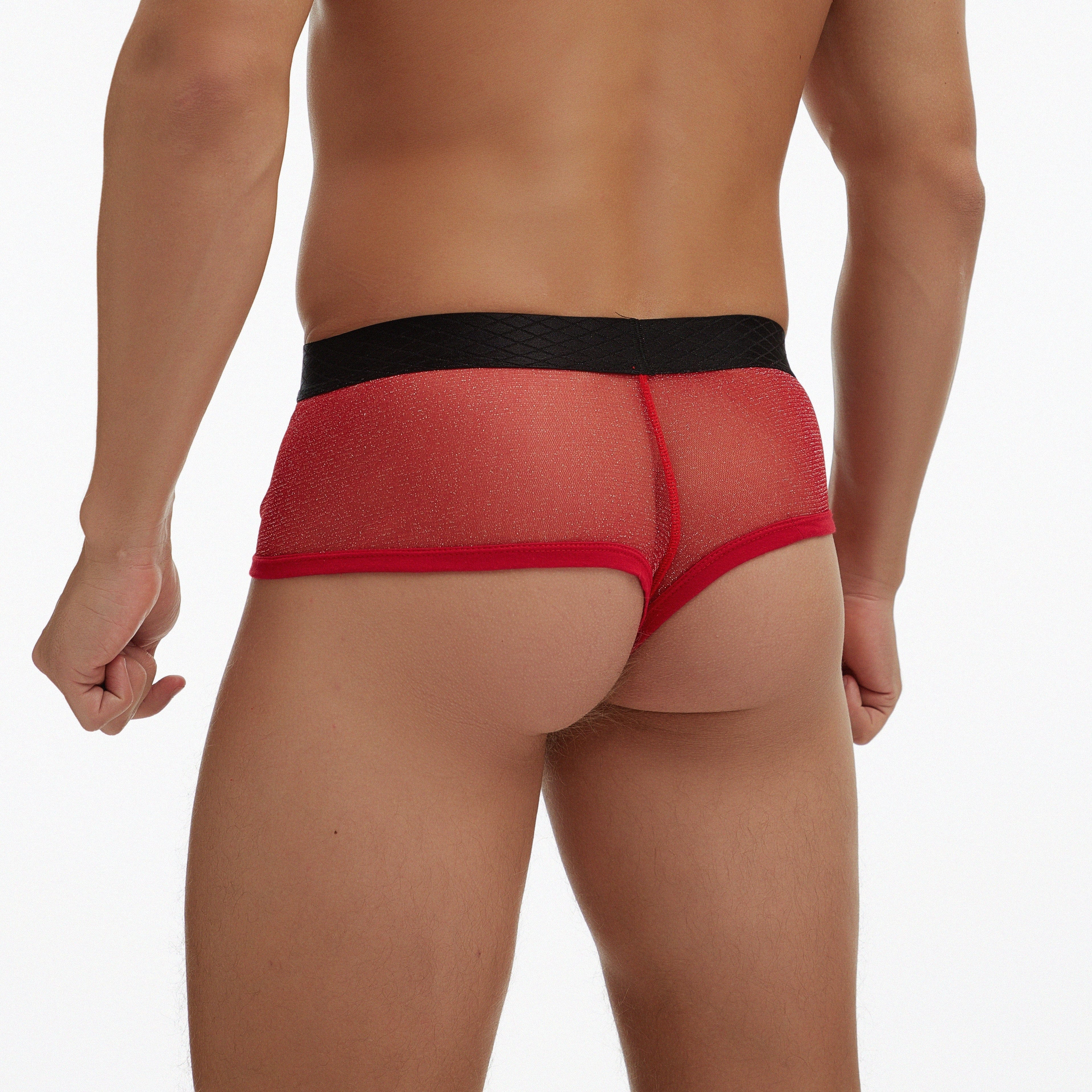 4 Pack Scandalous Cheeky Briefs | dmunderwear detail image 10