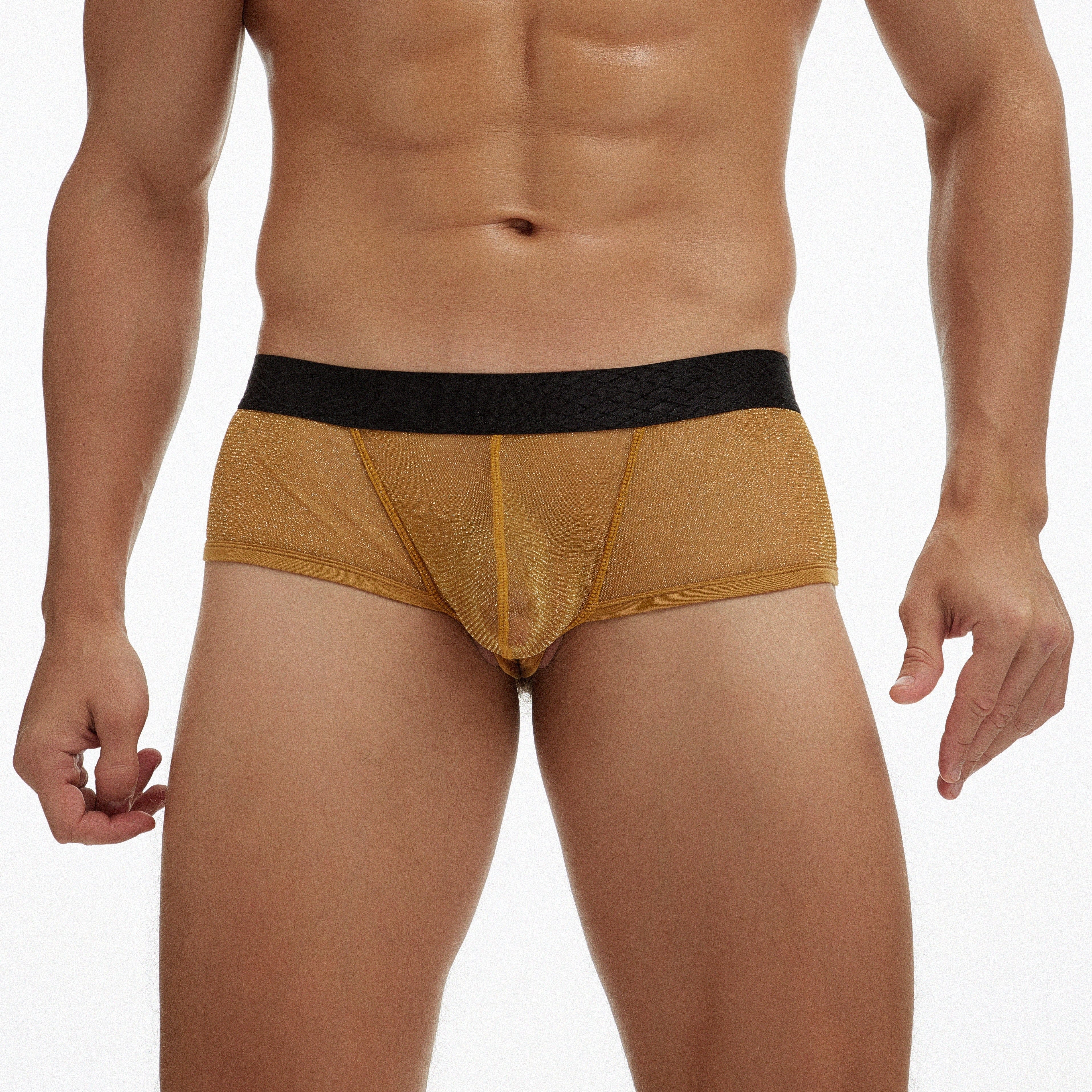 4 Pack Scandalous Cheeky Briefs | dmunderwear detail image 11