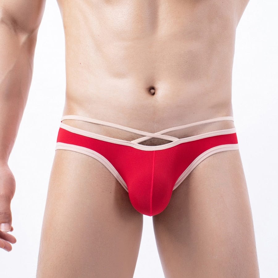 4 Pack Stunner Briefs | dmunderwear detail image 7