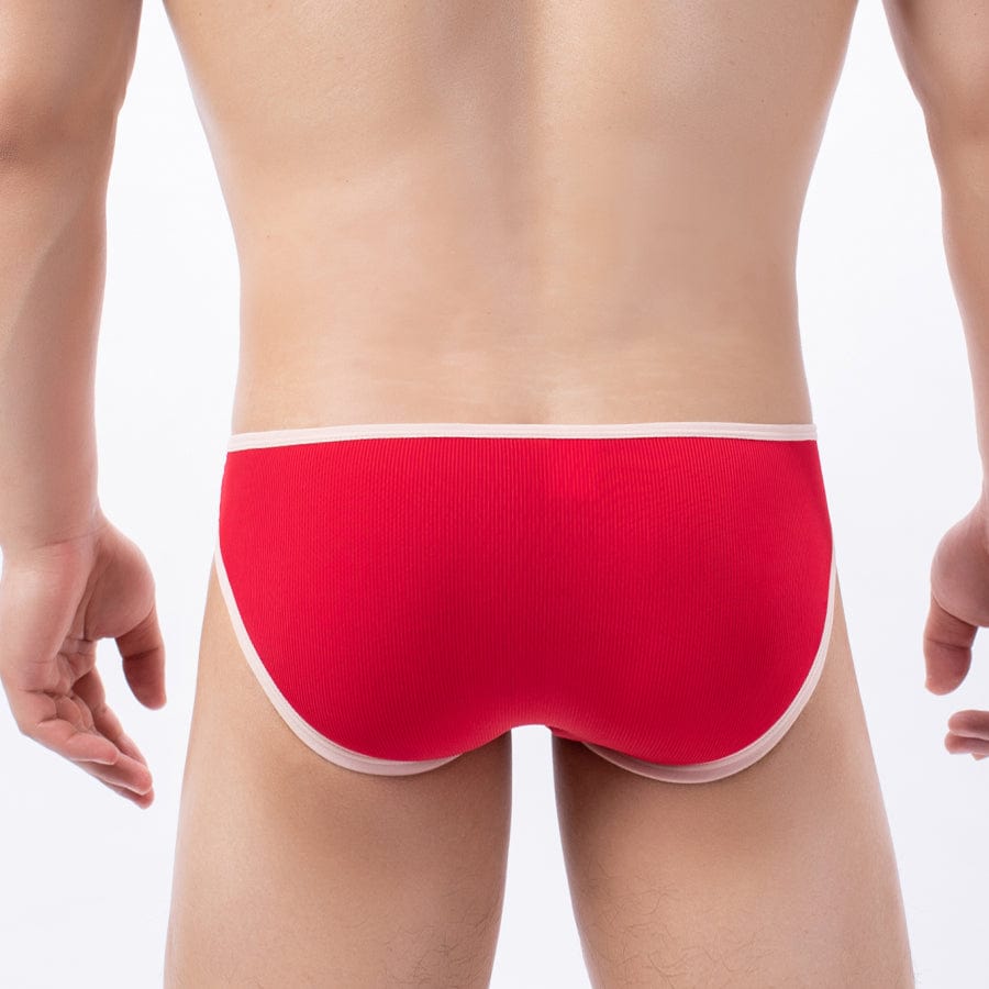 4 Pack Stunner Briefs | dmunderwear detail image 8