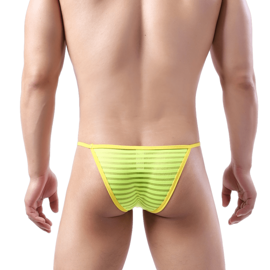4 Pack Sheer Striped String Bikini | dmunderwear detail image 6