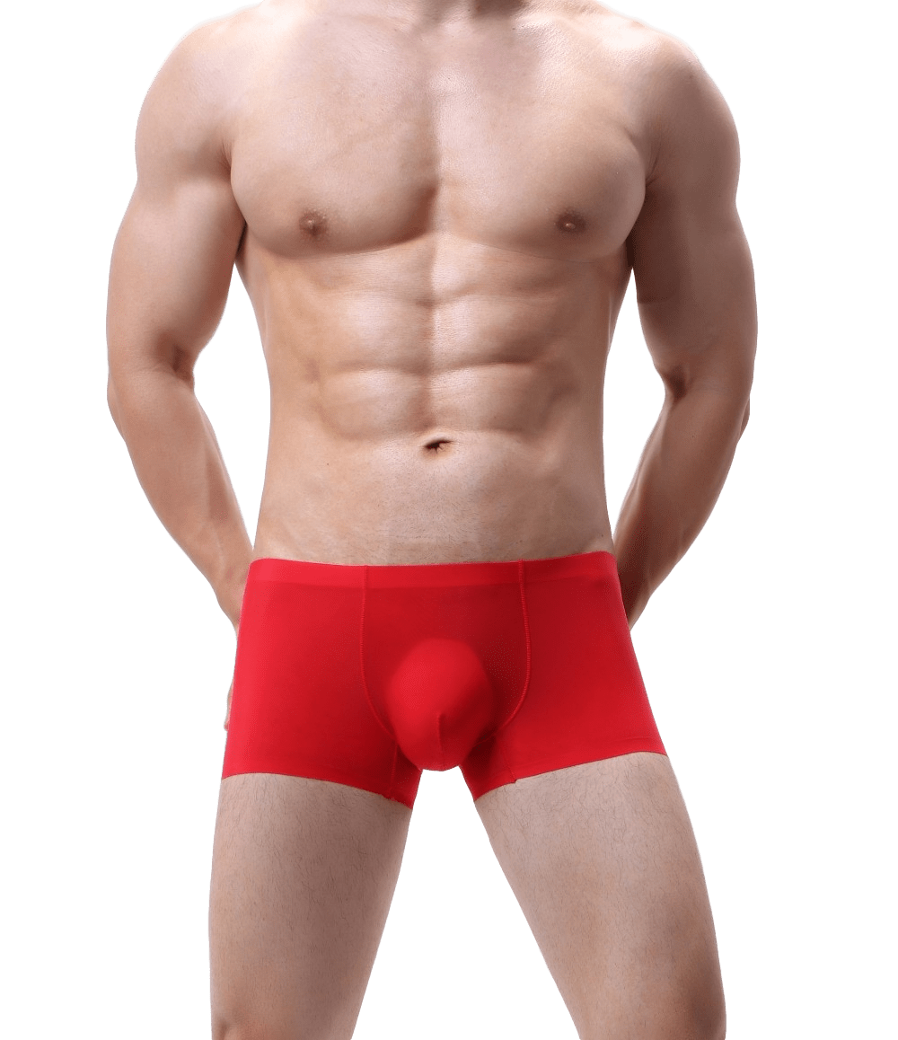 4 Pack Silky Bulge Trunks | dmunderwear detail image 10