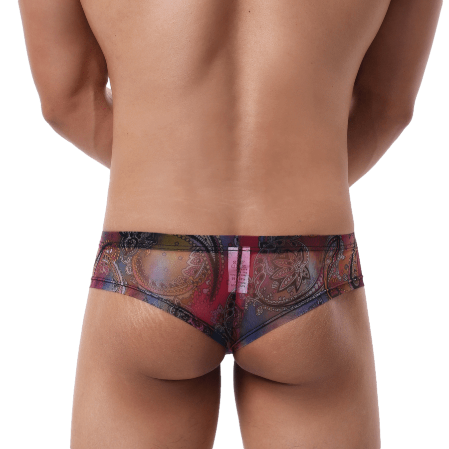 4 Pack Trippy Cheeky Briefs | dmunderwear detail image 11