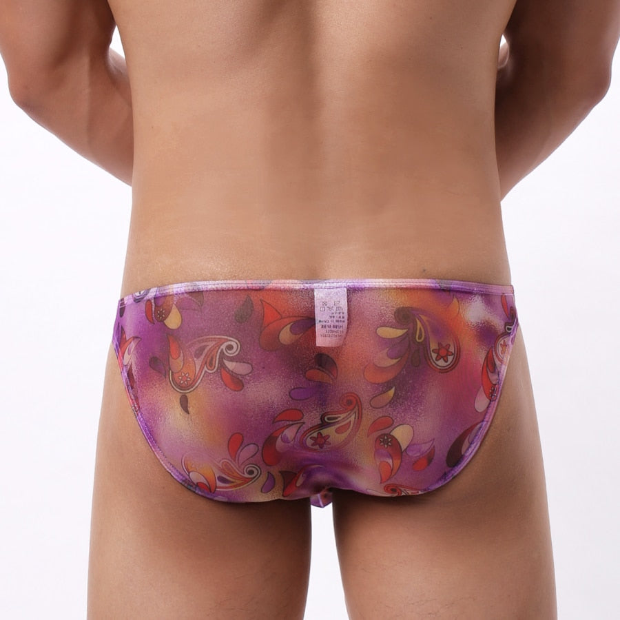 4 Pack Trippy Sheer Bikini Briefs | dmunderwear detail image 3