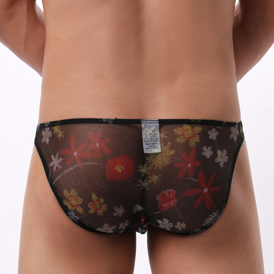 4 Pack Trippy Sheer Bikini Briefs | dmunderwear detail image 9
