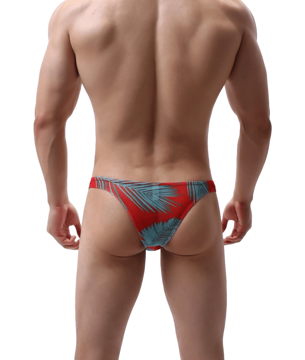 4 Pack Tropical Sheer Thong | dmunderwear detail image 7