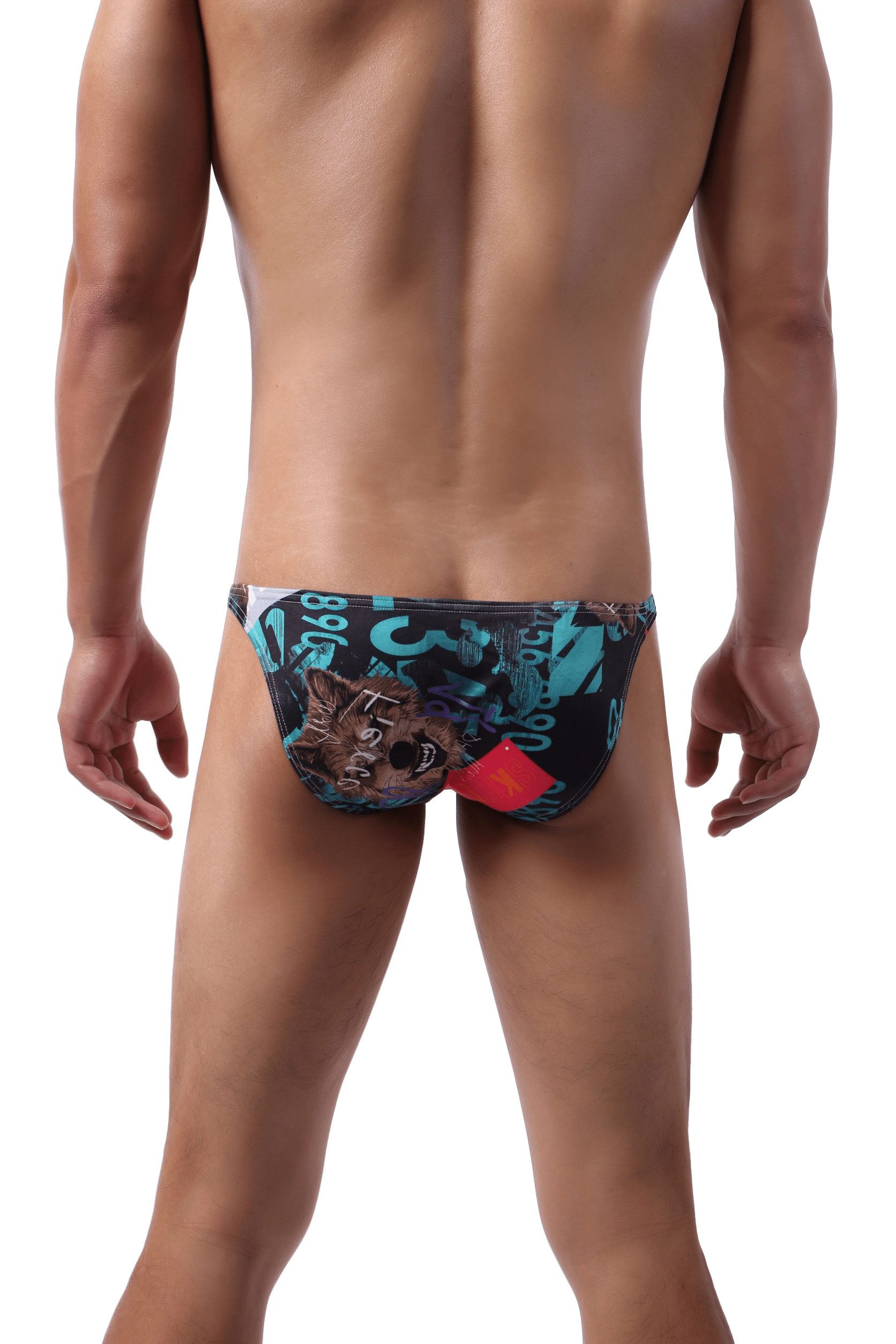 4 Pack Vogue Pop Bikini | dmunderwear detail image 11